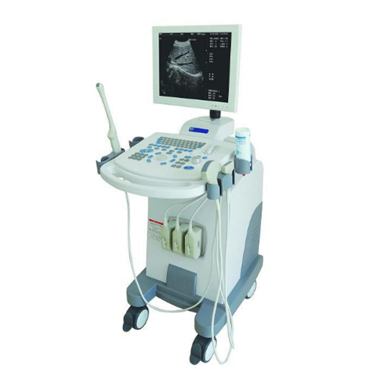 Pregnancy Ecography Ultrasound Scanner