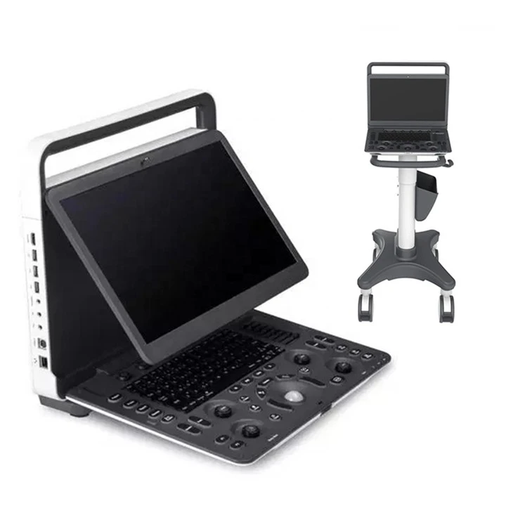 portable ultrasound